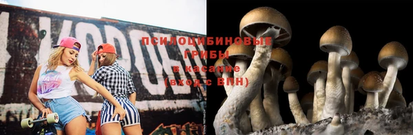 крисы Медногорск