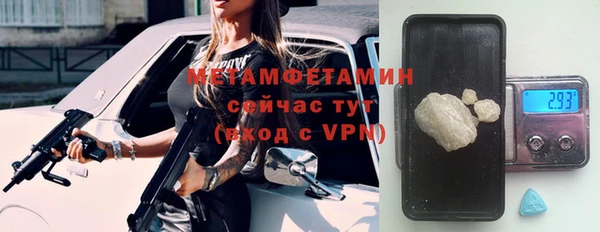 прущие грибы Медвежьегорск