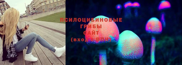 крисы Медногорск