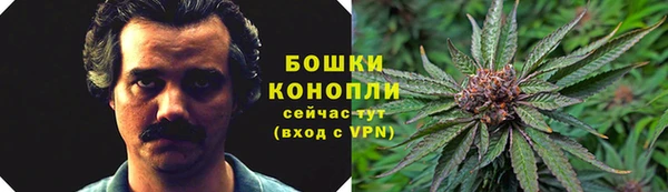 крисы Медногорск