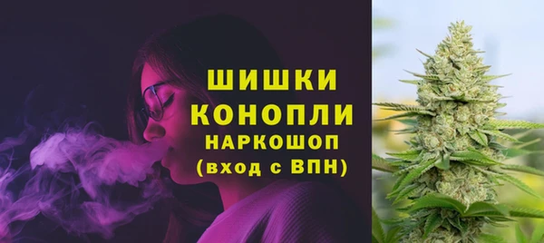 прущие грибы Медвежьегорск