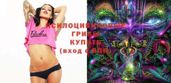крисы Медногорск