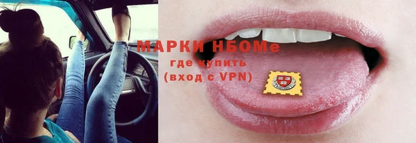 прущие грибы Медвежьегорск