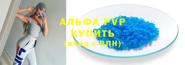 прущие грибы Медвежьегорск
