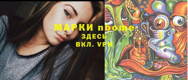 крисы Медногорск