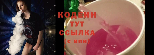 прущие грибы Медвежьегорск