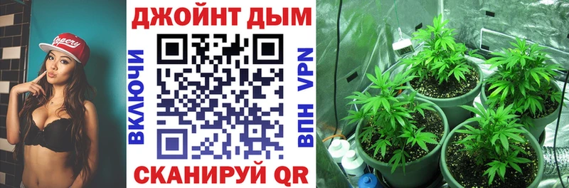 нарко площадка наркотические препараты  Суровикино  Конопля марихуана  даркнет сайт 